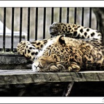 Konečně vylezlo sluníčko