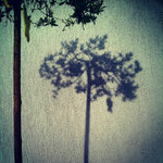 MoML 23. května 2112