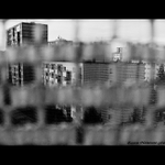 "v šedi paneláků..."