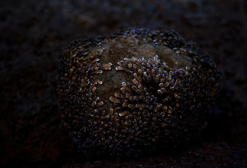 Zajatci, uprchlíci, pozůstalci a navrátilci