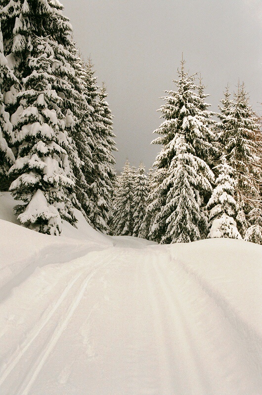 Trocha chladu do parného léta