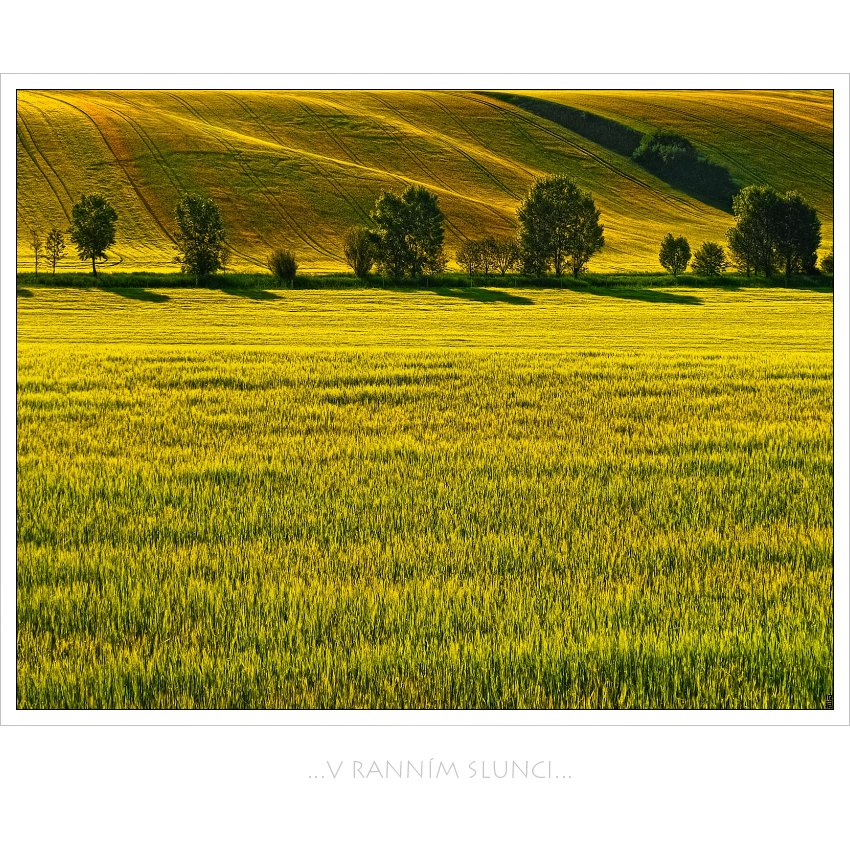 ...v ranním slunci...