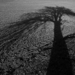 Tvým dlouhým vlasům,všechno odpouštím