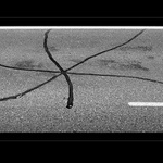 Cestářova poetická chvilka