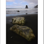 Deštivé pobřeží II