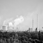 ... a nekouřit v lese !!!