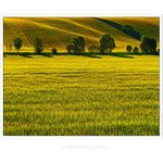 ...v ranním slunci...