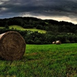 Těsně před bouří