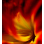 ...cesta do pekla...