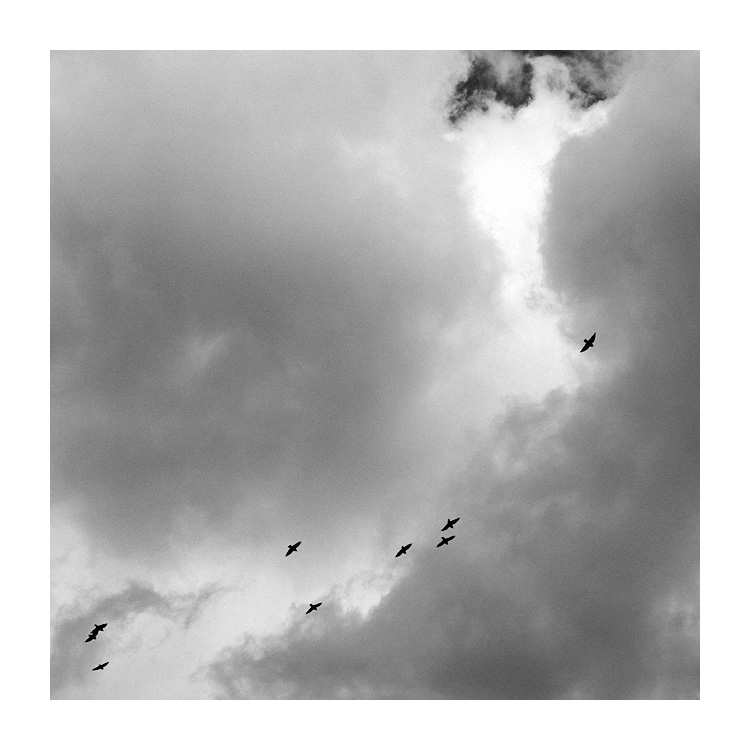 hledání bělavých par