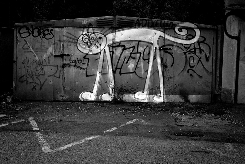 nuselský stíbrňák