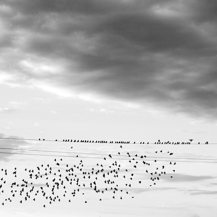 a léto je (skoro) v tahu