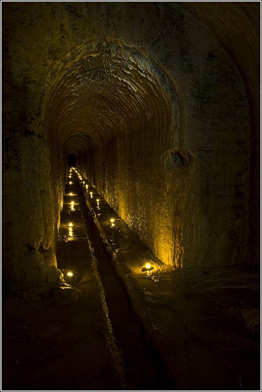 Inter Arma Silent Musae