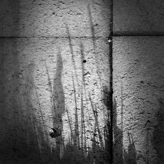 podvečer na chodníku