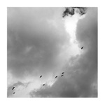 hledání bělavých par