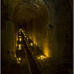 Inter Arma Silent Musae