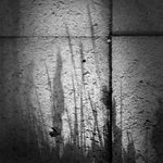 podvečer na chodníku