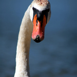 ...máš nějakej problém?