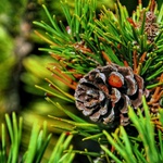 Jen tak pro zábavu...:-D