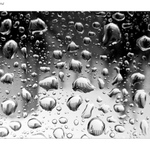 V šedi paneláků II.