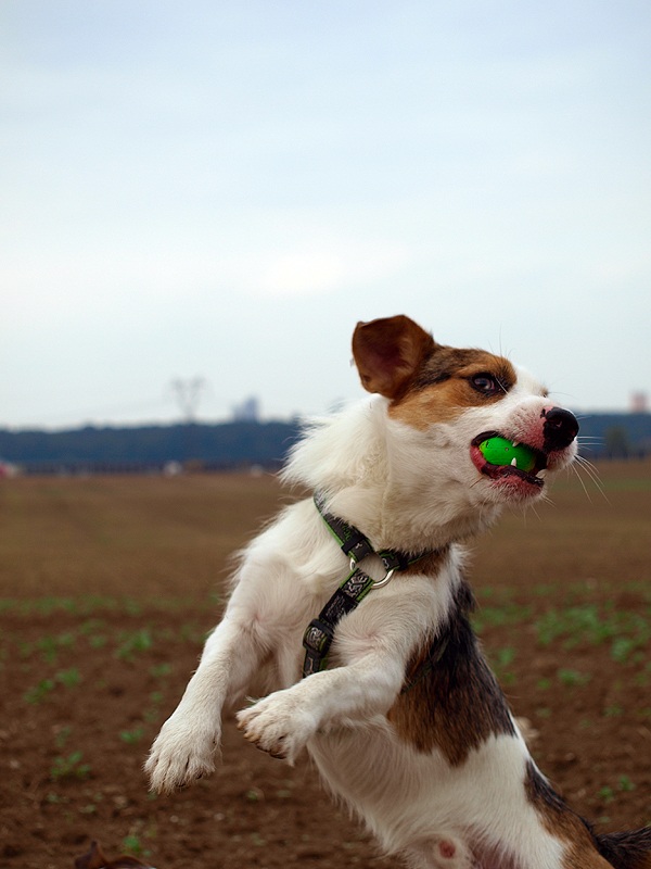 Gotcha!