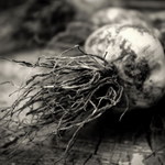 zátišie s cesnakom