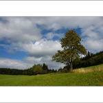 Odpolední procházka