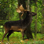 Ze sobotní procházky