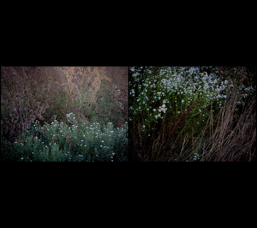 diptych a