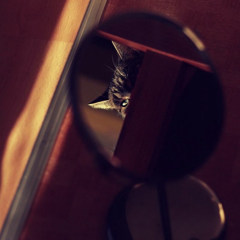 Takové to domácí focení...