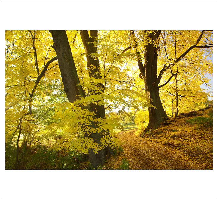 Podzimní procházka II