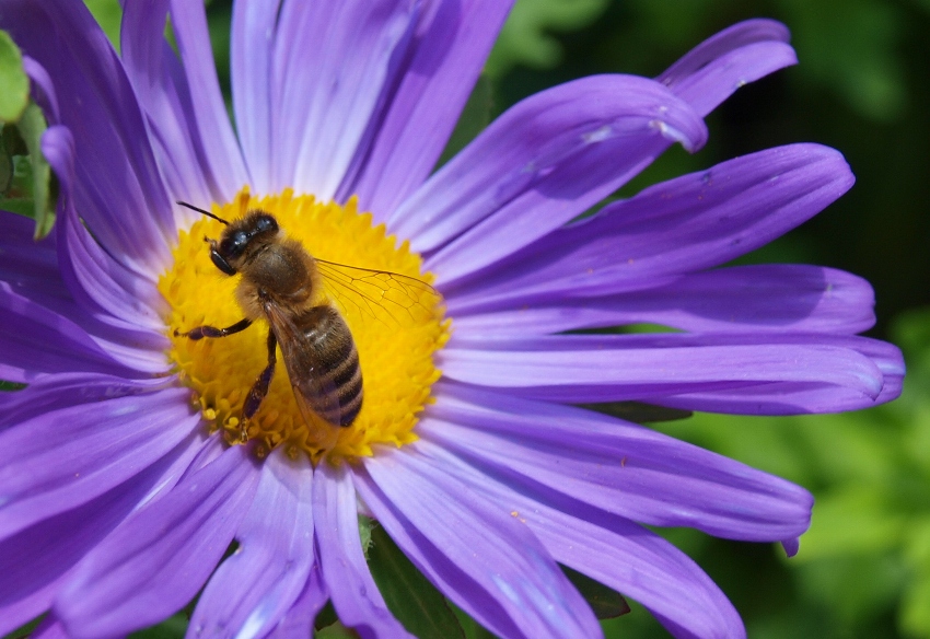 Vyfoť si mě a já hned zase letím...