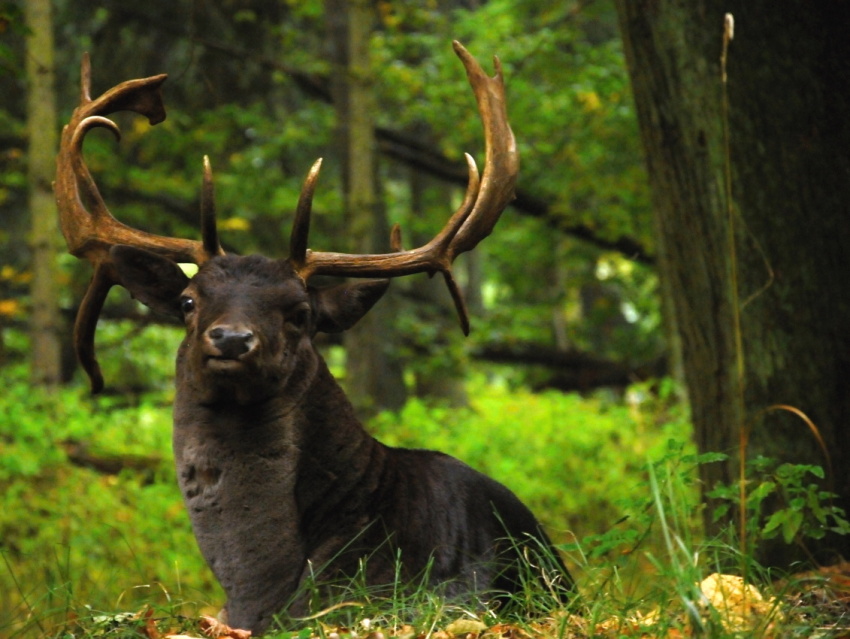 Ze sobotní procházky II