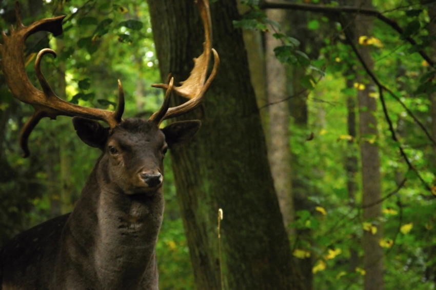 Ze sobotní procházky III
