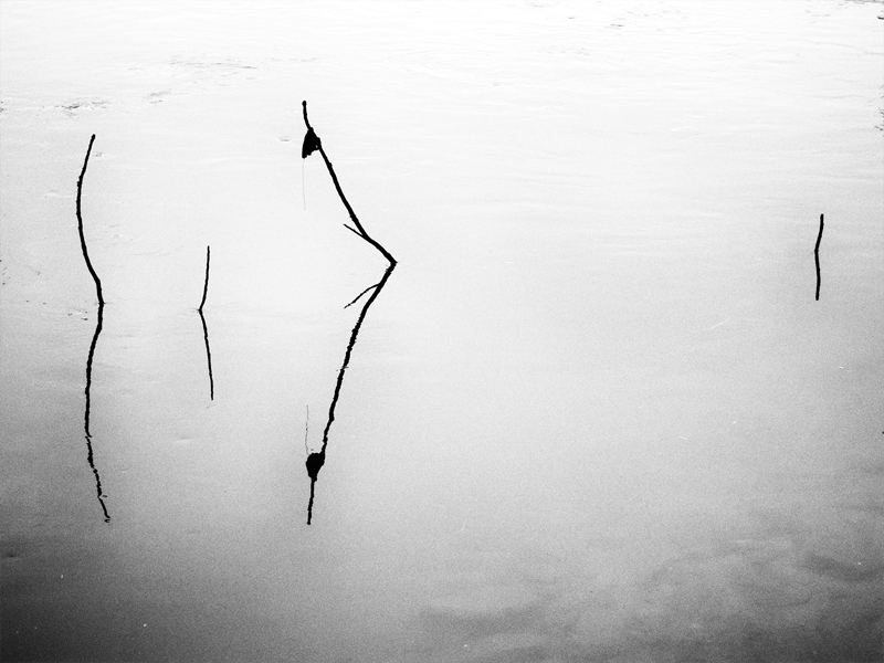 Koupající se paní zvědavě pozoruje naznak plovoucího pána - MoML 31. října 2012