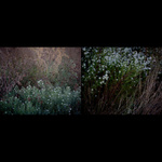 diptych a