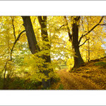 Podzimní procházka II