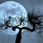 KDYŽ SE BLÍŽIL ÚPLNĚK