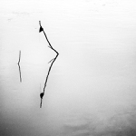 Koupající se paní zvědavě pozoruje naznak plovoucího pána - MoML 31. října 2012