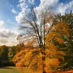 ... Pozdim na Kozlu ...