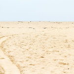 San Francisco revisited #5 - Kemping po emericku