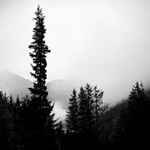 Horská variace č.3499