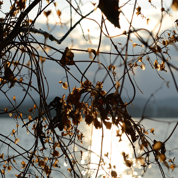 opona slunečního divadla