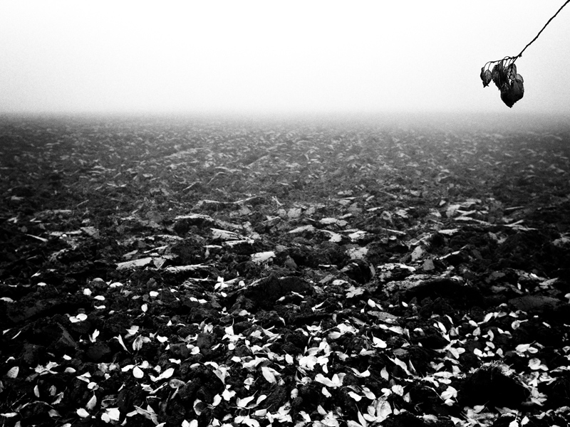 MoML 16. listopadu 2012