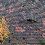 Poslední nájemníci