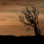 Kdesi v Krušných horách