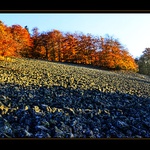 Suťový palouk v barvách podzimu