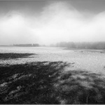 tichý zápas mlhy se sluncem