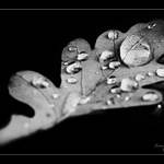 Barevný podzim už je...