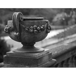 V zámeckém parku ...